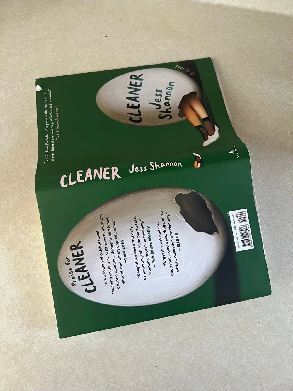 Cleaner by Jess Shannon - Green Hardcover Book